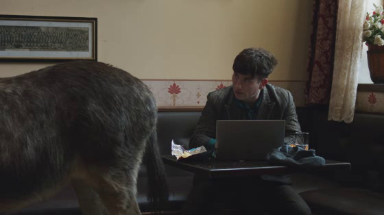 Squarespace: Barry and Mosley - Super Bowl LIX