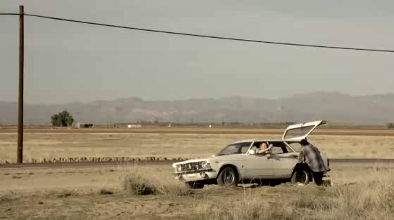 Carlton Dry: Sheep Impact