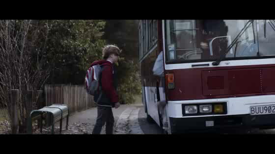 Lipton: Bauble