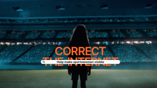 Correct the Internet: Correct The Internet