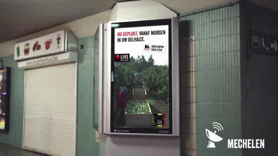 Delhaize: Live Harvest