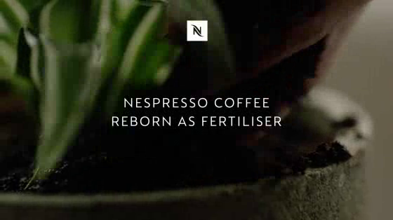 Nespresso: `Coffee grains