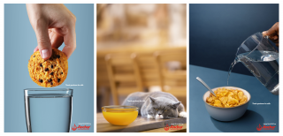 Anchor: World Milk Day 2024 - Cat