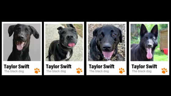 SecondeChance.org: The Black Dog
