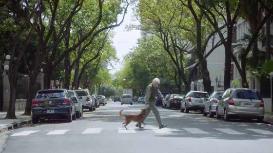 Instituto de Transplante Hepatico Argentino: The Man & The Dog