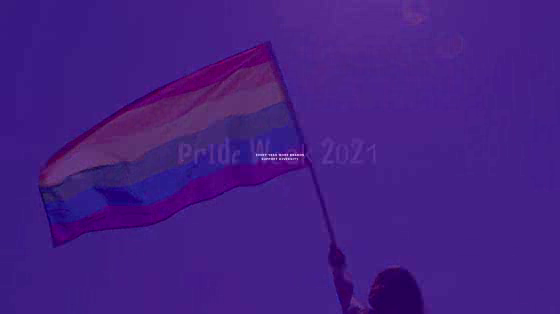 Dentsu: Rainbow Brands