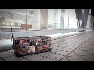 Society for Community Organization: Man in The Cage