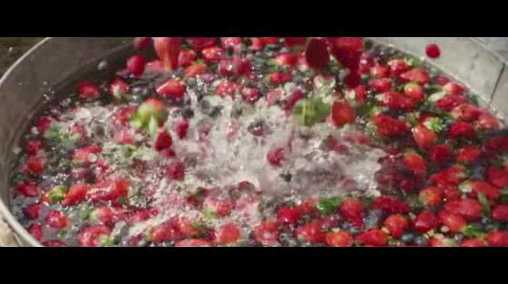 ALDI: Berries