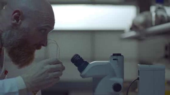 Nomad Skateboards: SCIENTIST