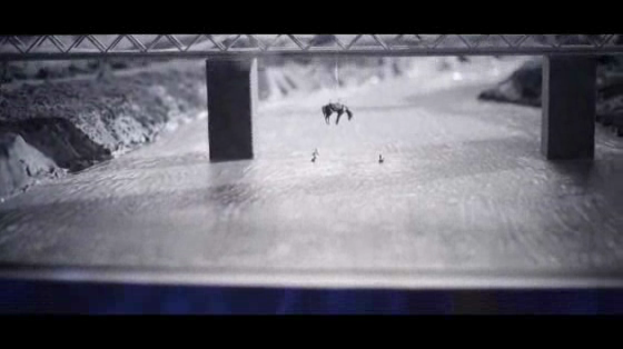 International Film Festival: International Film Festival 2013 Trailer