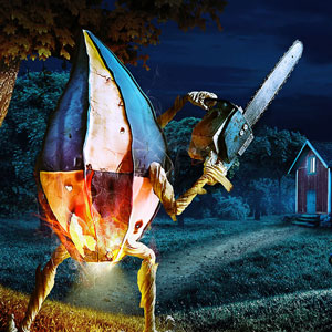 Petrobras: Forest