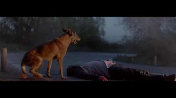 30 Millions D'Amis Foundation: Emotional Pet Campaign