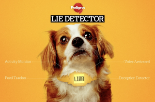 Pedigree: Pedigree Lie Detector