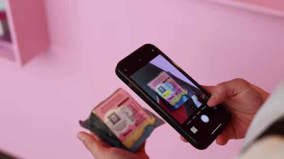 Klarna: The Dream Shop