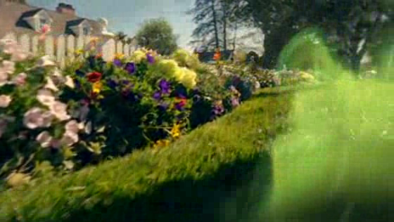 Lowe's: Fresh Cut Grass