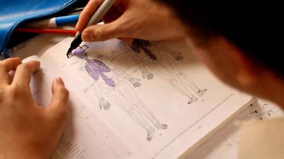 Curtin University: Doodle