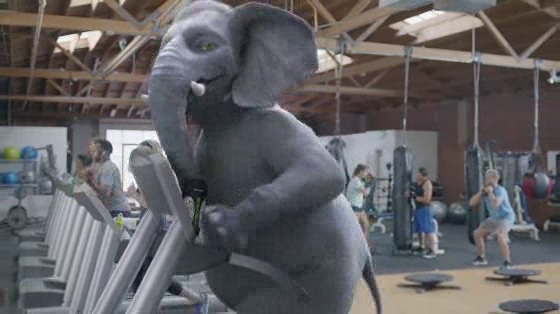 Wonderful Pistachios: Treadmill