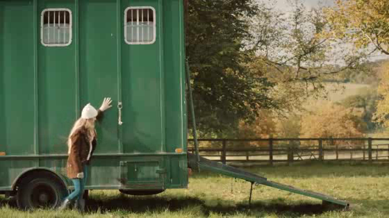 Amazon: A Lonely Little Horse
