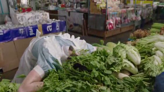Thai Health Promotion Foundation: Bok Choy