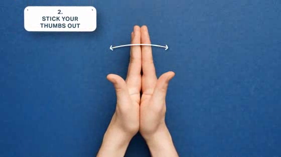 Geberit AquaClean: Handbutts - How To
