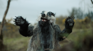 Gas Networks Ireland: Hyperventilating Badger