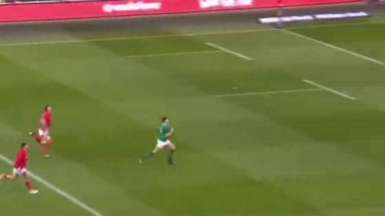 Paddy Power: Ireland vs England Brexit Rugby takeover