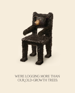 Living Forest Institute & The Only Animal:  Logging more than trees - Chair