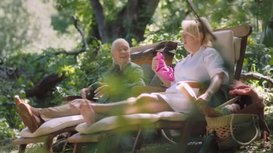 HP Sustainability: Plant A Tree