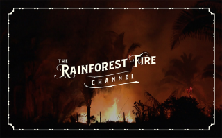 Amazon Rainforest Conservancy: The Rainforest Fire Channel