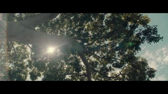 Air Canada: Ticket to Dream