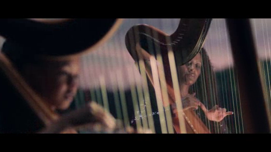 American Family Insurance: Harp