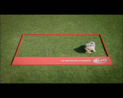Alpo Dog Food: The World's First Dog Billboard