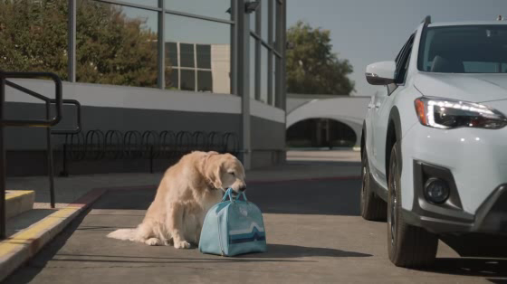 Subaru: Drive Away