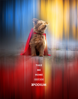 Podium: Dog 3