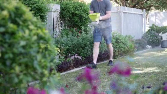 Baileys: Baileys Lawn - Turns Gardens Totally Green