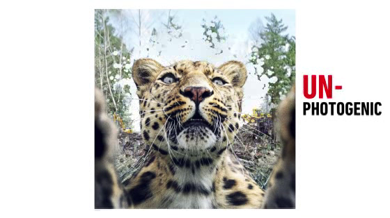 WWF Japan: #ANIMAL_SELFIE