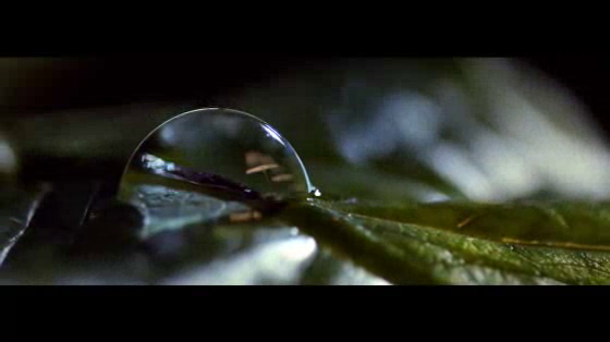 Ikea: Forrest
