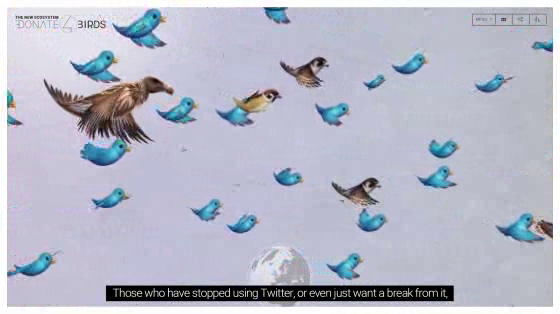 Charities & Non-profit: DONATE 4 BIRDS | THE SUSTAINABLE IoT BOOK