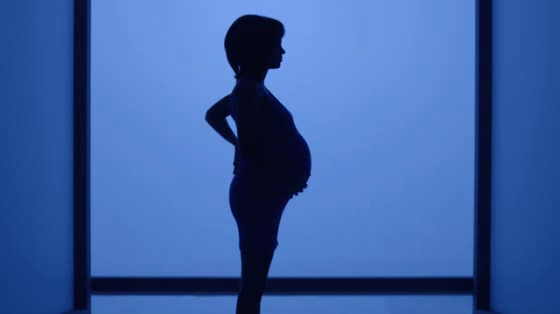 Bubbly Lacta Chocolate: Pregnant