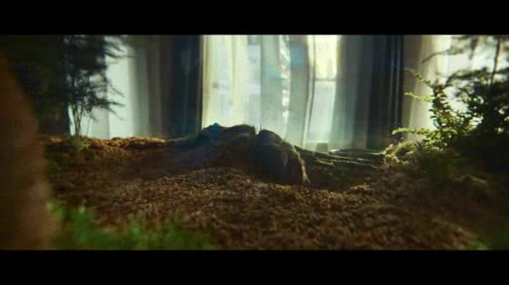 Samsung Galaxy S22 Ultra: Love Has No Boundaries