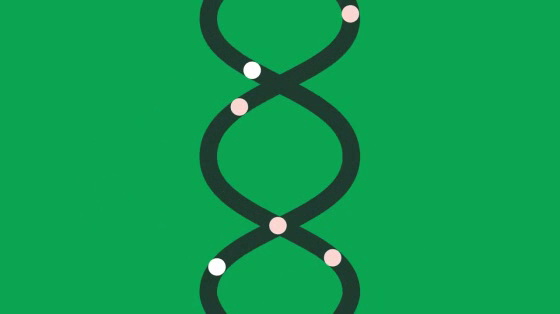 DNA My Dog: Connecting the Dots