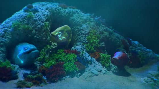 Smart: Eel-ectricity