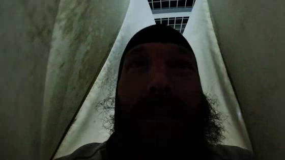 Liseberg: The Peak Fear Experiment