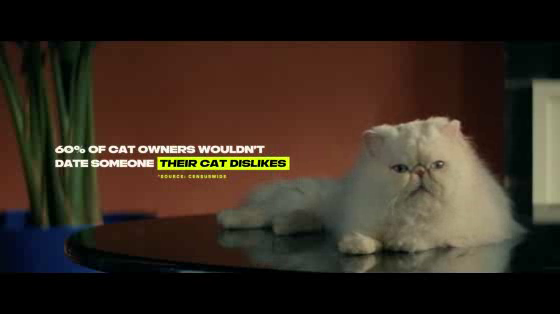Lynx: Catnip