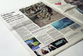Netsafe: Your News Bulletin