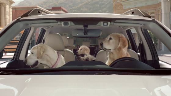 Subaru: Drop Off