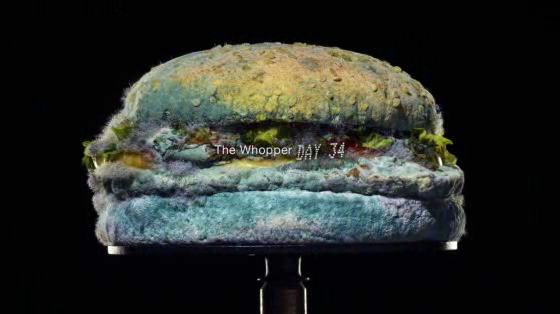 Burger King: The Moldy Whopper