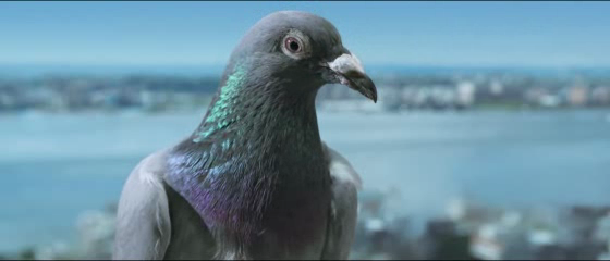 JetBlue: Air On The Side Of Humanity