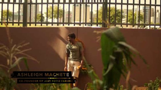 Strongbow: Ashleigh Machete