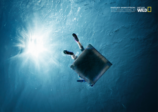 Natgeo wild: Deadliest shark attacks